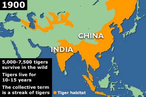 Where Tigers Live In The World Map - United States Map