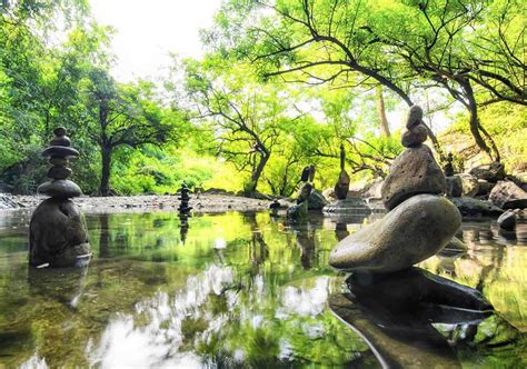 Zen Meditation Garden