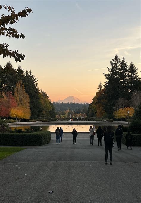 Mount Rainier from campus today : r/udub