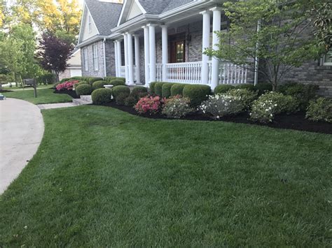 Beautiful Lawn, Plants and Mulch | Lawn, Green lawn, Plants