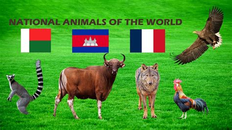 National Animals of Countries | Flag of Countries and their names ...