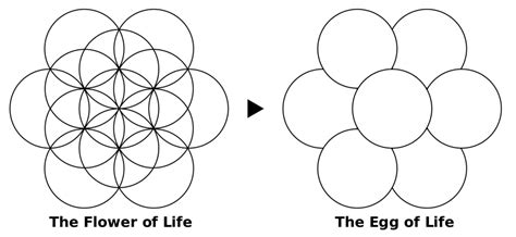 The Egg of Life - Meaning - Sacred Geometry