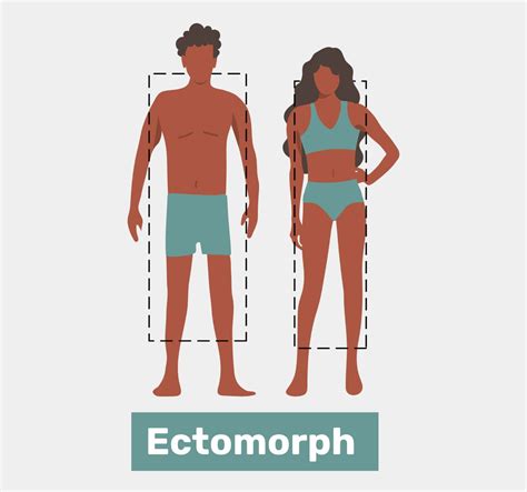 Ectomorph: Body Type Characteristics, Meal Plan & Food to Avoid - Tua Saúde