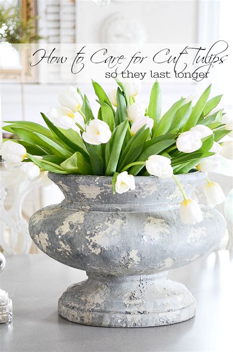 HOW TO CARE FOR CUT TULIPS SO THEY LAST LONGER - StoneGable