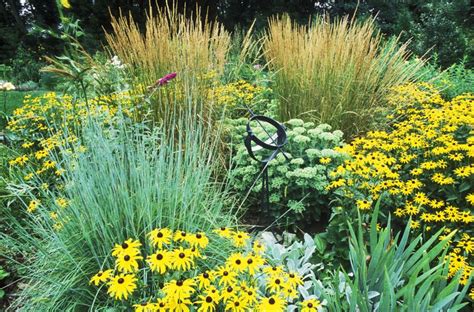 Best Ornamental Grasses For Your Garden