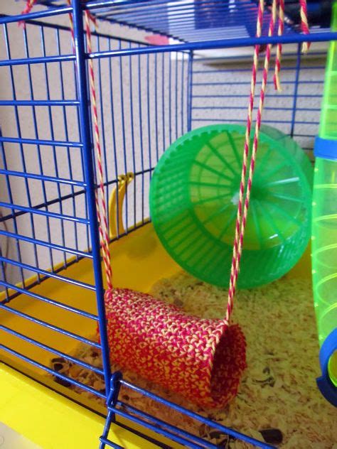 25 Best DIY Gerbil Toys ideas | gerbil toys, hamster toys, hamster diy