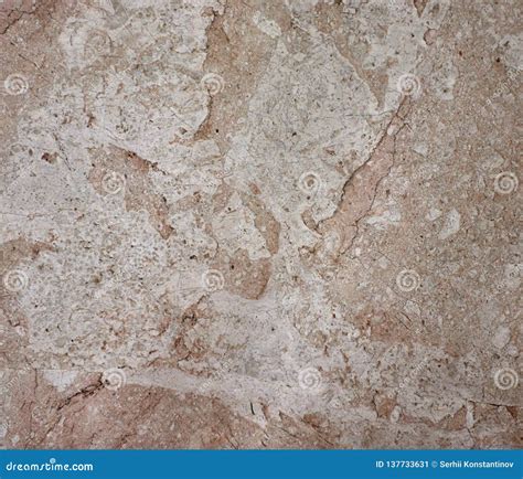 Italian Marble Slab Texture Stock Image - Image of kitchen, architecture: 137733631