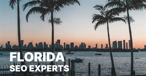 29 Best Florida SEO Experts – Plerdy