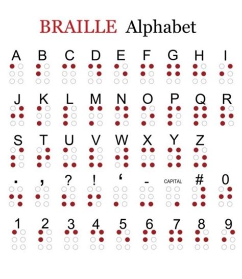 Pin on EDS583-Braille1