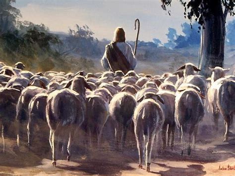 How To Shepherds Christ’s Flock | Discovering God's Word