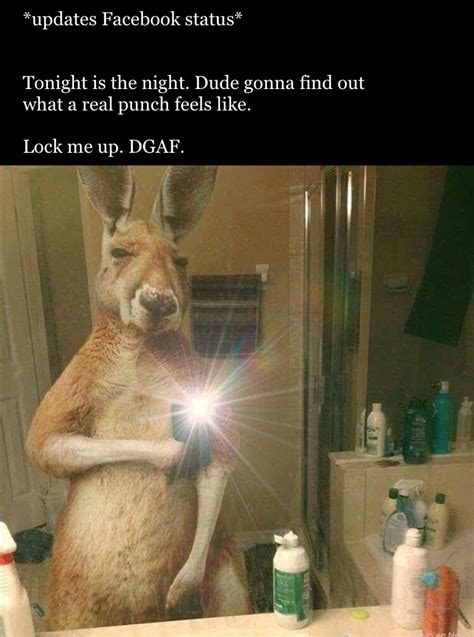 The best kangaroo memes :) Memedroid