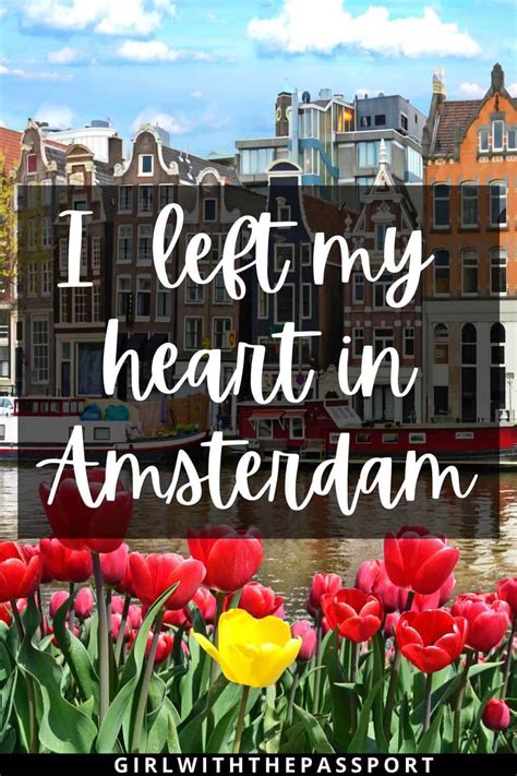 100+ Amazing Quotes About Amsterdam that are Awe-inspiring!