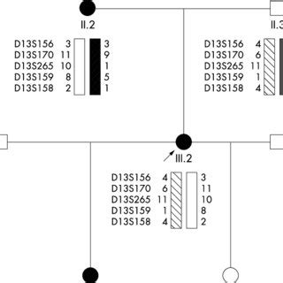 Haplotype analysis in family A. The markers and haplotype data are from... | Download Scientific ...