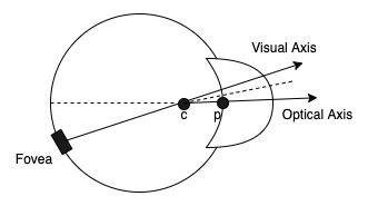 3: Components of the VR eye tracking system | Download Scientific Diagram