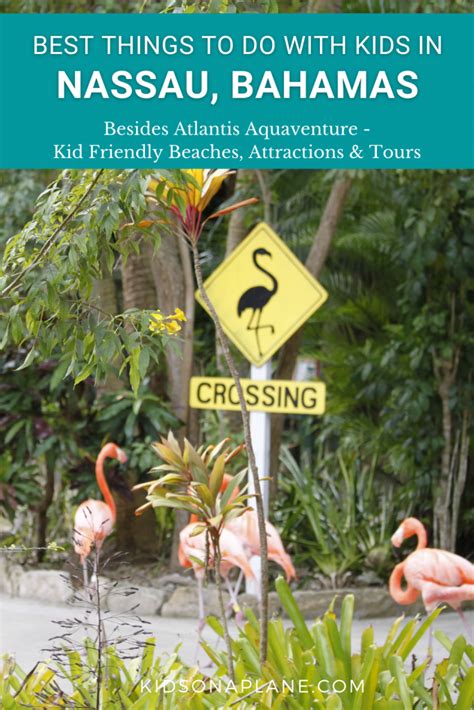 Best Things to Do with Kids in NASSAU BAHAMAS - Besides Atlantis - Kid Friendly Beaches ...