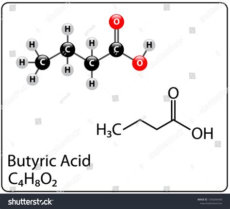 Butyric Acid Molecule Structure Stock Vector (Royalty Free) 1359286400 | Shutterstock