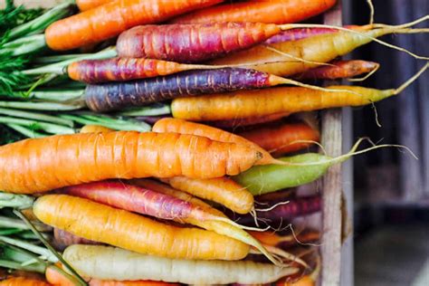 Carrot Varieties | Kellogg Garden Organics™