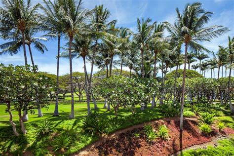 The Westin Hapuna Beach Resort Reviews & Prices | U.S. News Travel