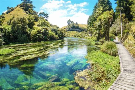 Blue Springs Putaruru - แนะนำที่ท่องเที่ยว คู่มือเที่ยวทั่วไทย ทั่วโลก สนุกไปกับเรา