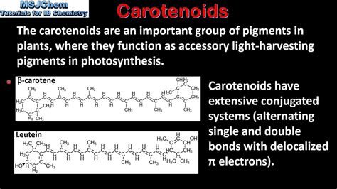 B.9 Carotenoids (HL) - YouTube