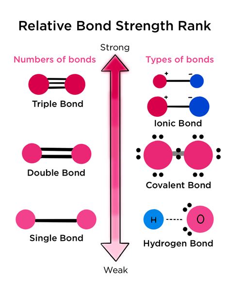 Hydrogen Bond Examples List