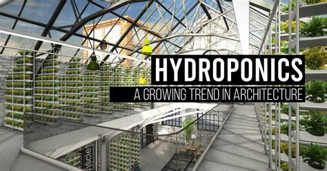 Hydroponics- A Growing Trend in Architecture - RTF