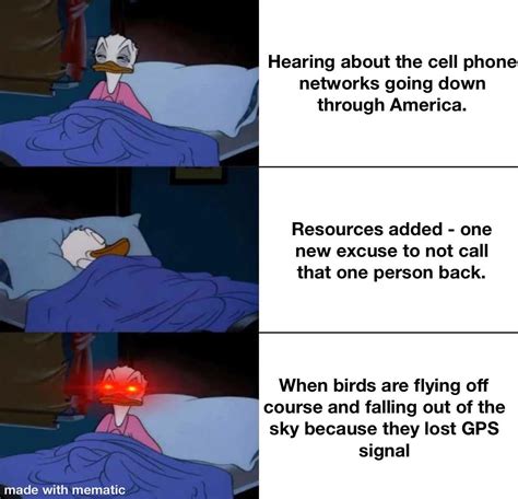 The bird is the word. : r/memes