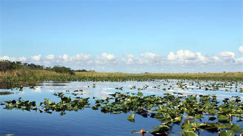 Water for America’s Everglades · National Parks Conservation Association