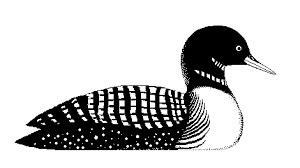 Image result for loons drawing | Waterfowl art, Loon tattoo, Drawings