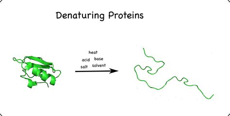 food science – Montessori Muddle