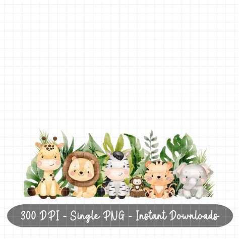 Safari Baby Animals PNG Kids Animals Sublimation Safari - Etsy