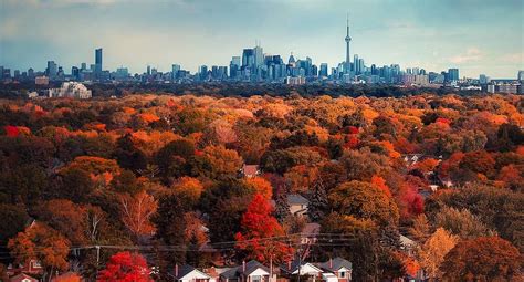 18 photos that will make you fall in love with autumn in Toronto | Curated