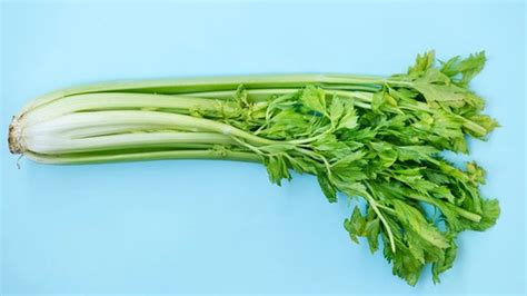 Celery: What Are Its Health Benefits And Side Effects? | OnlyMyHealth