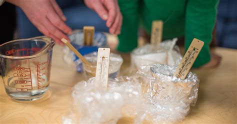 Experimenting with Insulation in Fifth Grade - BJU Press Homeschool Blog