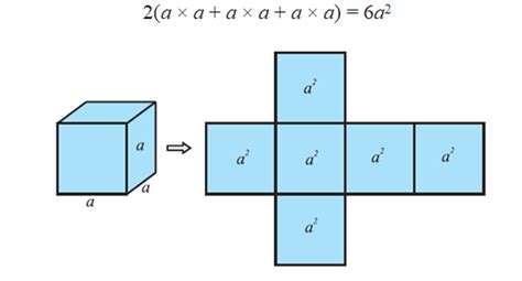 Surface Area Of Cuboid & Cube: Formula, Derivation, Volume & Examples