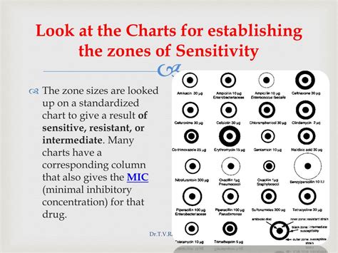 PPT - Antibiotic Sensitivity Testing PowerPoint Presentation, free download - ID:114544