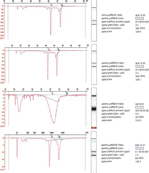 Agilent Bioanalyzer profiles showing examples of concentration and... | Download Scientific Diagram