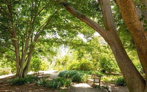 Fullerton Arboretum Set to Reopen July 7 | CSUF News