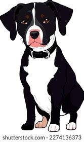 Pitbull Terrier Dog Breed Vector Stock Vector (Royalty Free) 2274136373 ...