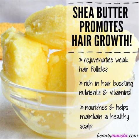 Shea butter is a great natural ingredient to promote hair growth and treat hair loss! Find out ...