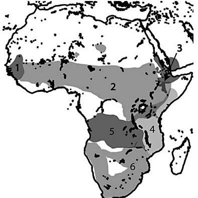 Maps of the hamadryas baboon range, including: terrain roughness (a);... | Download Scientific ...