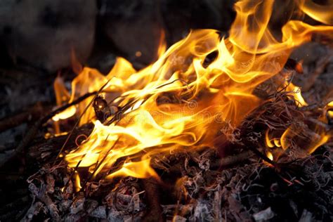 Crackling fire stock image. Image of dark, blazing, comfort - 35964157