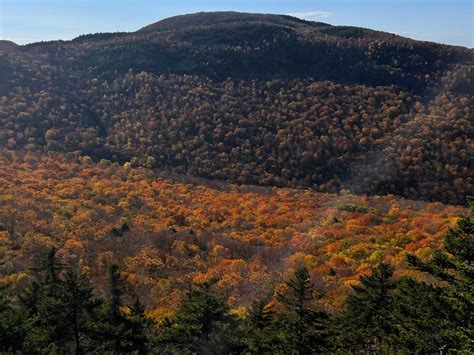 Meet the 'Leaf Squad': Volunteer Vermonters who help create fall foliage reports | Vermont Public