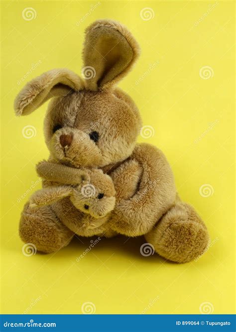 Bunny rabbit cuddly toy stock photo. Image of ears, bear - 899064