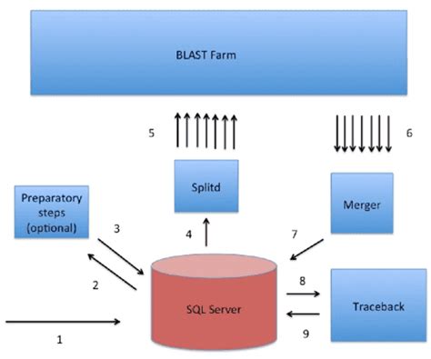 [PDF] The BLAST Sequence Analysis Tool | Semantic Scholar