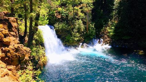 McKenzie River Trail Mountain Bike Trail - Eugene, Oregon