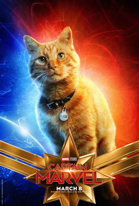 Captain Marvel's Cat Gets His Own Character Poster (See Them All Here ...