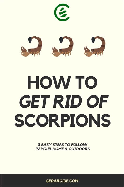 Get Rid of Scorpions Naturally | Scorpion, Pest solutions, Pests