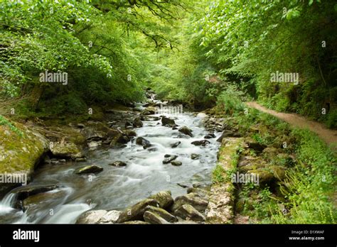 Brook running through English countryside in Devon Stock Photo - Alamy