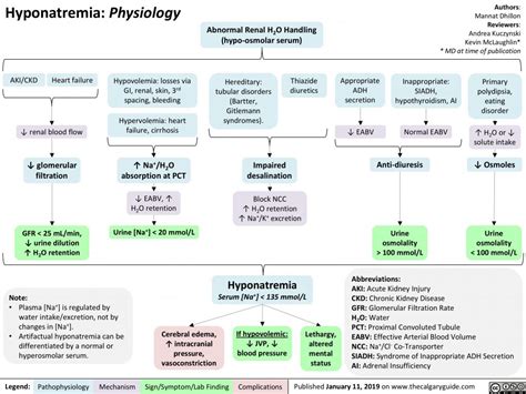 Hyponatremia Diagnosis Flowchart